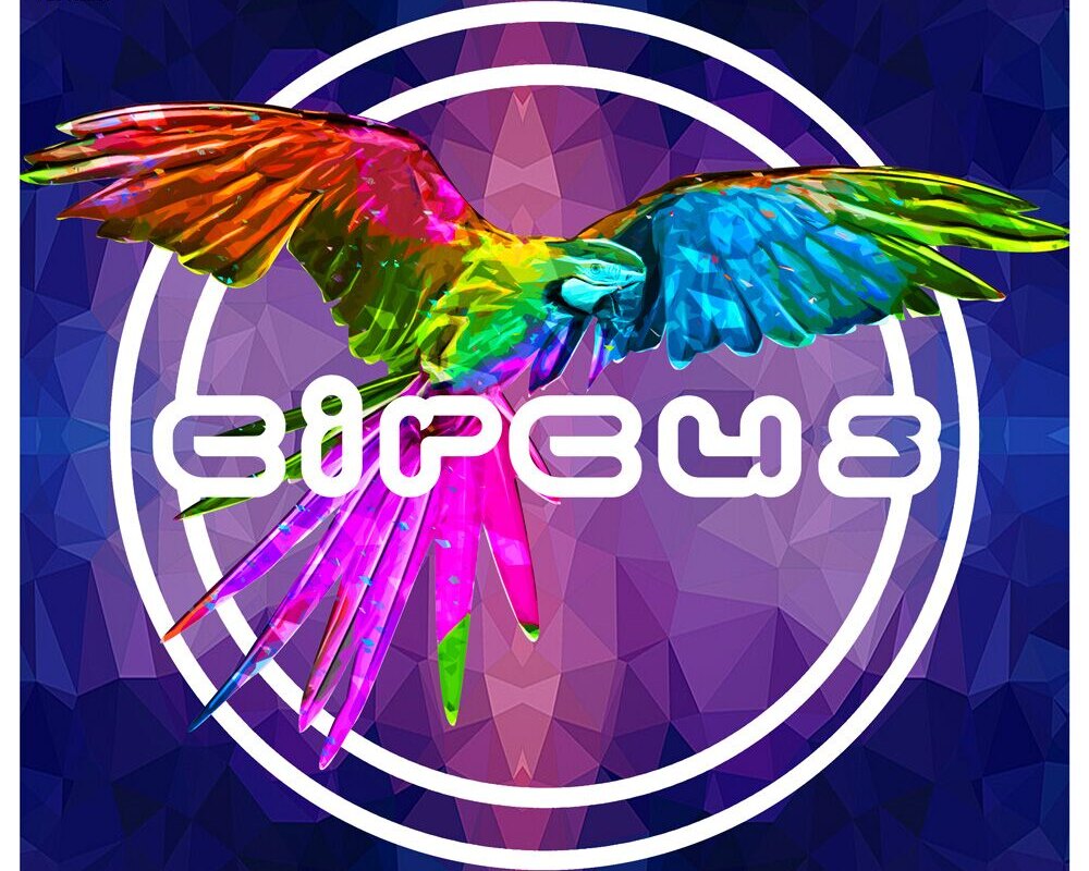 Cyran releases “Fly Away”on Circus Records