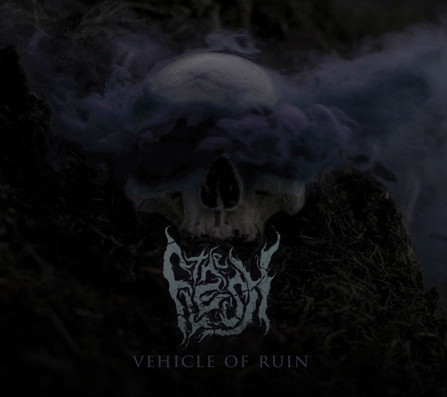 The Flesh cursed Dutch metal punks featuring members of Herder and Verwoed launch new single "The Last Word"!