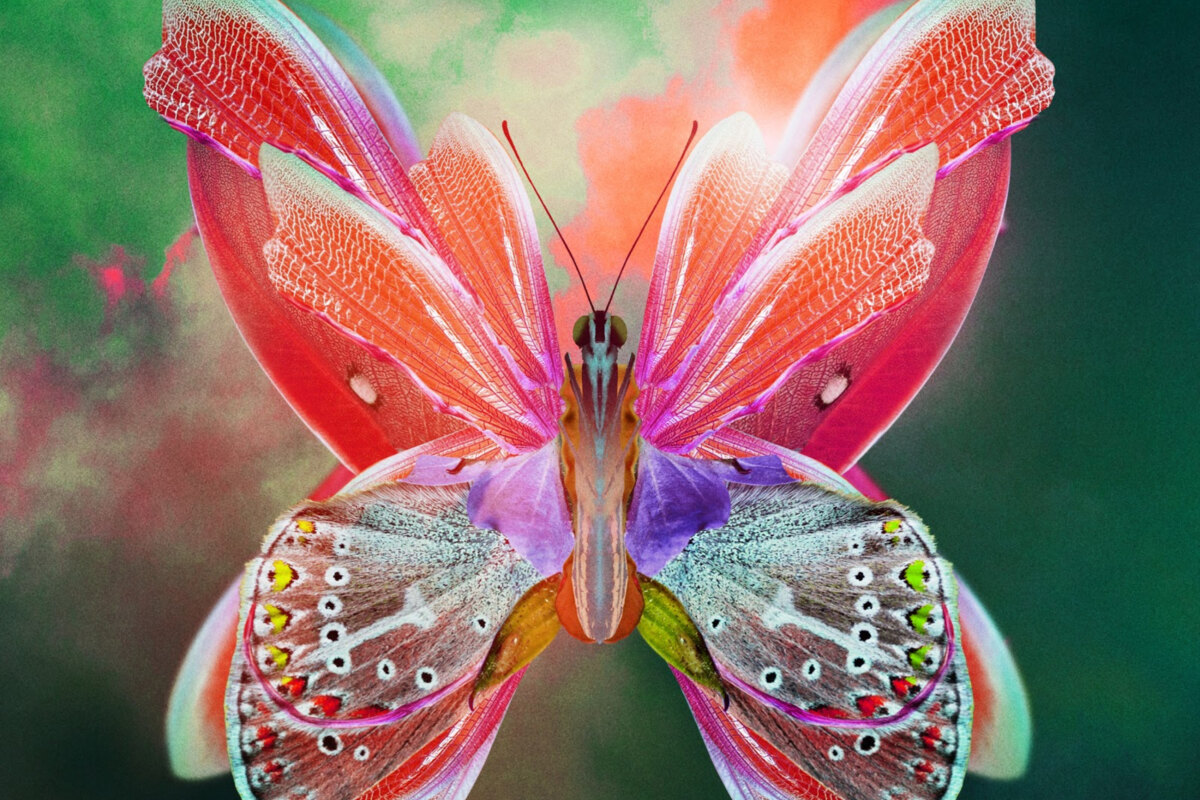 Tritonal release remix package for  “Little Bit of Love” featuring Rachel Patten