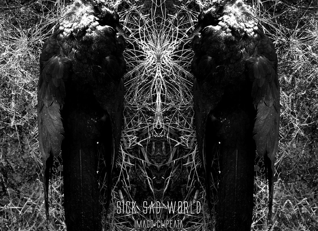 French post-metal outfit Sick Sad World unveiled new music video "The Rope" on YouTube