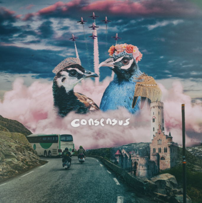 ‘Consensus’ nieuwe single van Nijmeegse indieband Waltzburg