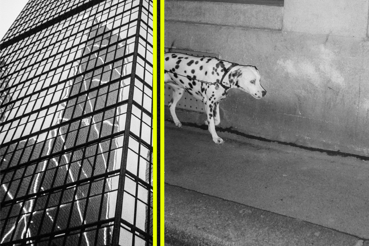 Zookëper returns to Enhanced with 'Parallel Lines'