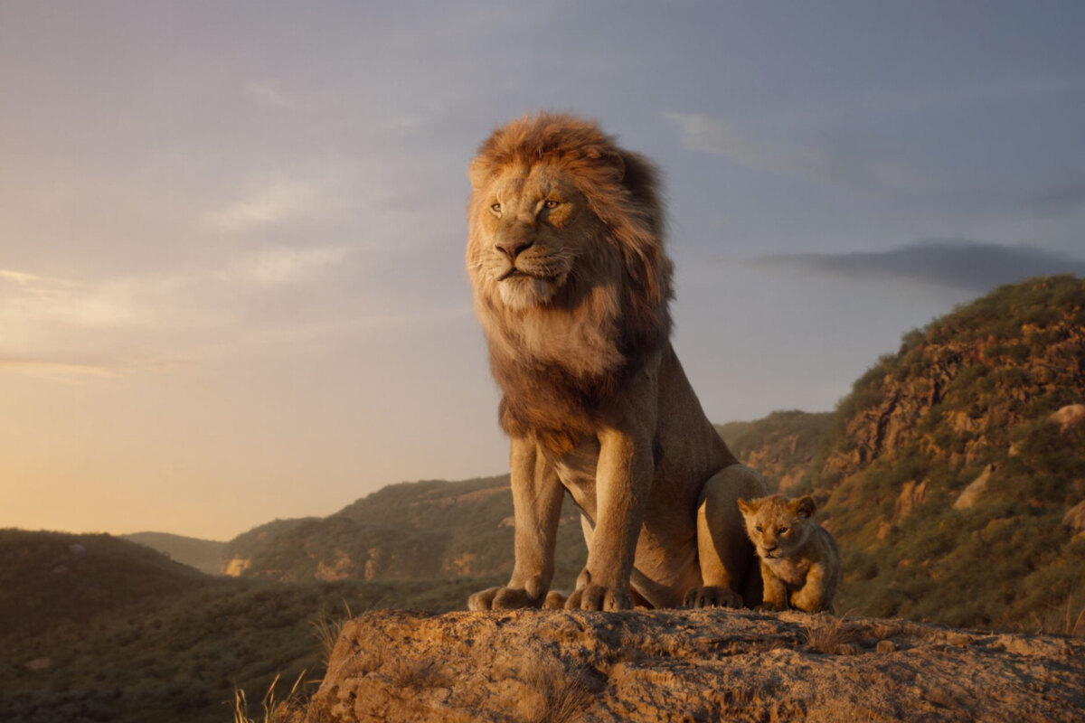 "The Lion King" haalde reeds 1 miljoen Belgen naar de bioscoop! 