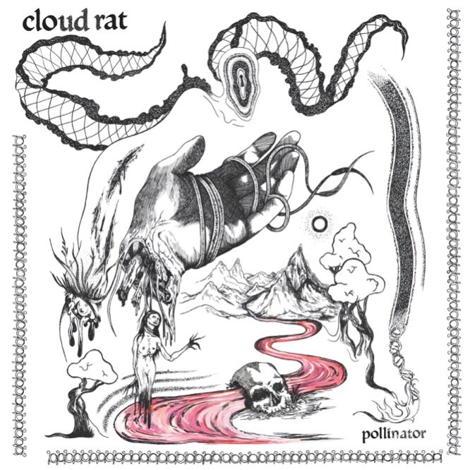 Cloud Rat debuts 'Wonder' from new album, 'Pollinator'