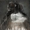 Dawn Of Disease  new album "Procession of Ghosts"