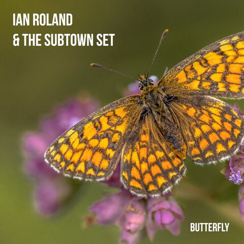 Ian Roland& The Subtown Set- Release 'Butterfly' Single + Video 