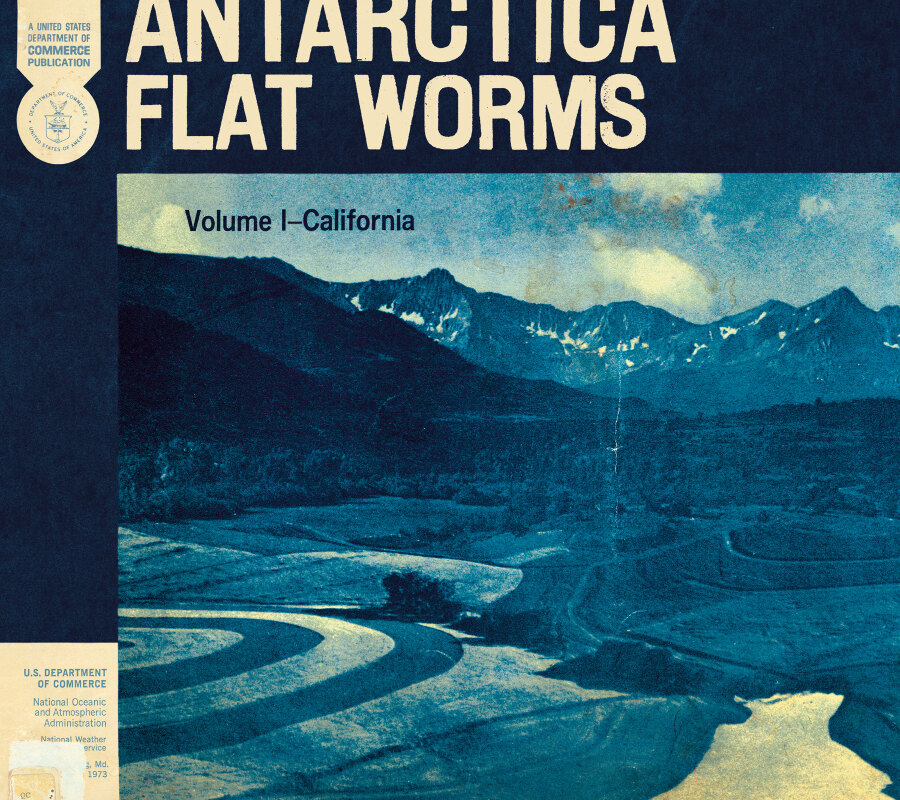 Flat Worms: New Album 'Antarctica' Out April 10th