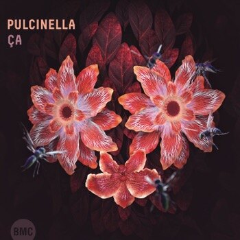 Colorful Avantgarde Quartet  Pulcinella New Album "Ça", On Tour in March!