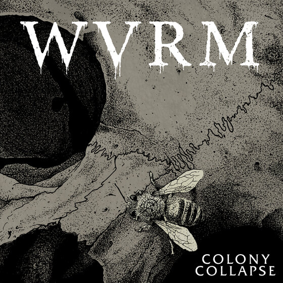 WVRM - 'Colony Collapse' out now