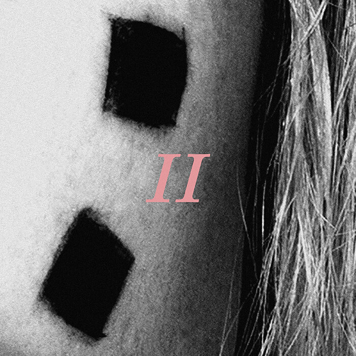 Hayley Williams stelt voor Petals For Armor I|