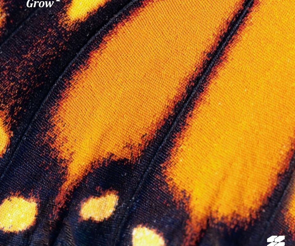 Kidnap breathes new life into debut album 'Grow' through twelve-track remix album
