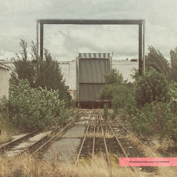 Threestepstotheocean's brand new single “Fiori Immortali” has finally been released.