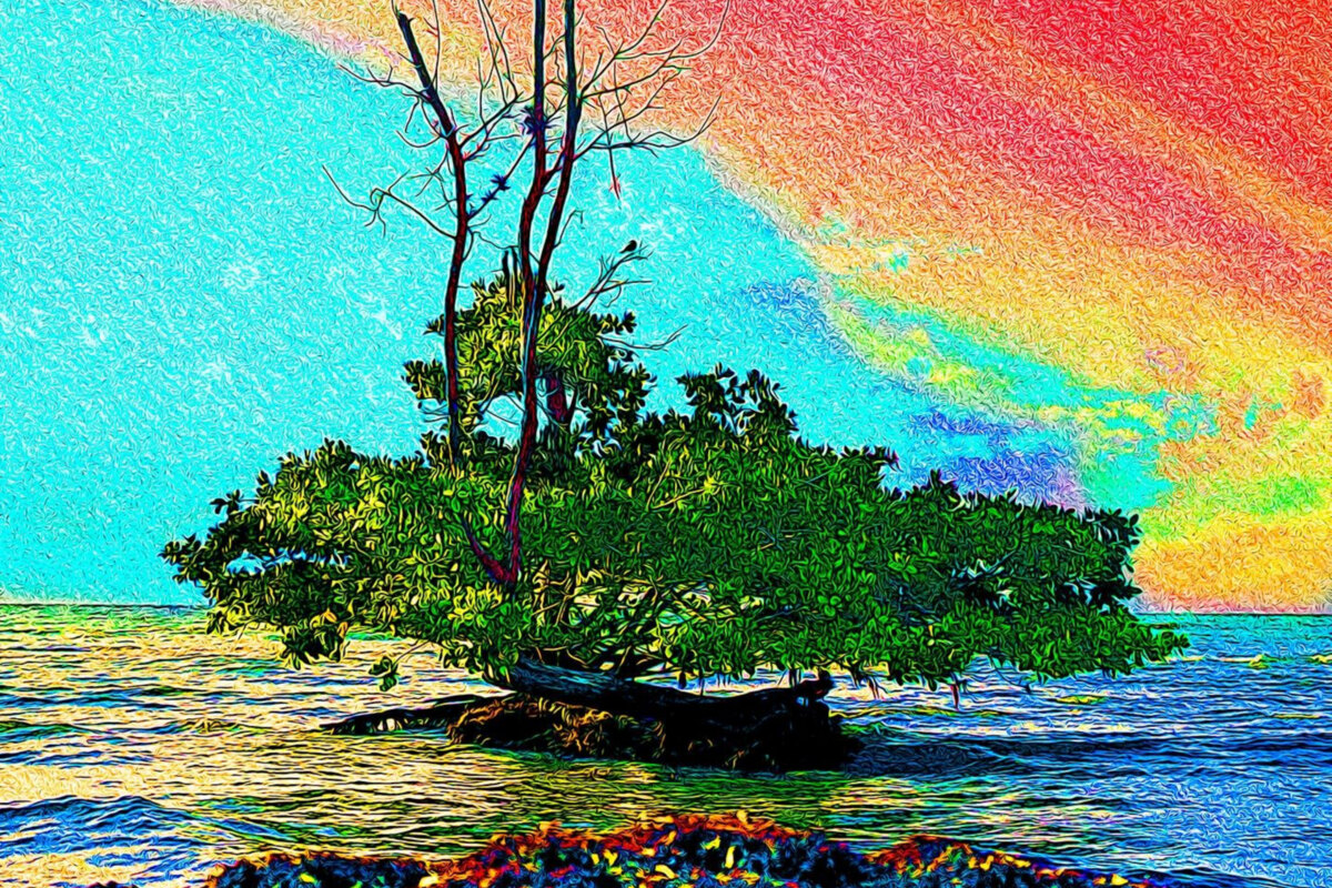 Silk Tonic releases "Summer Time" 
