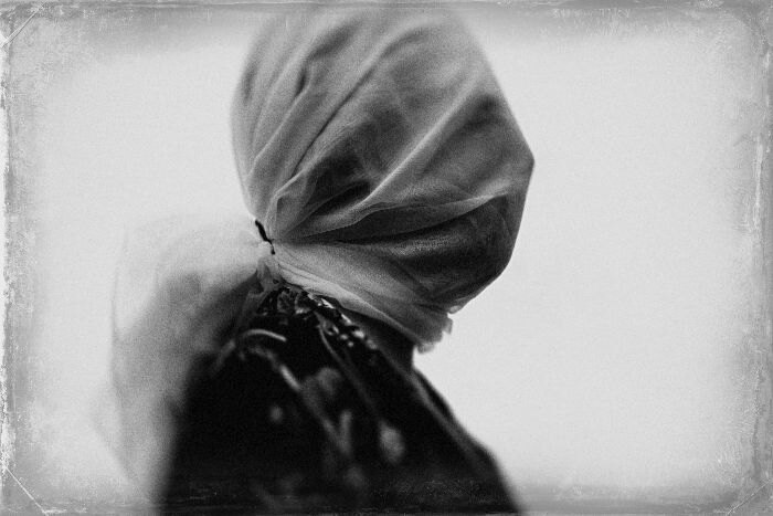 Moonlow releases new song "Day 1 (You Have No Enemy)