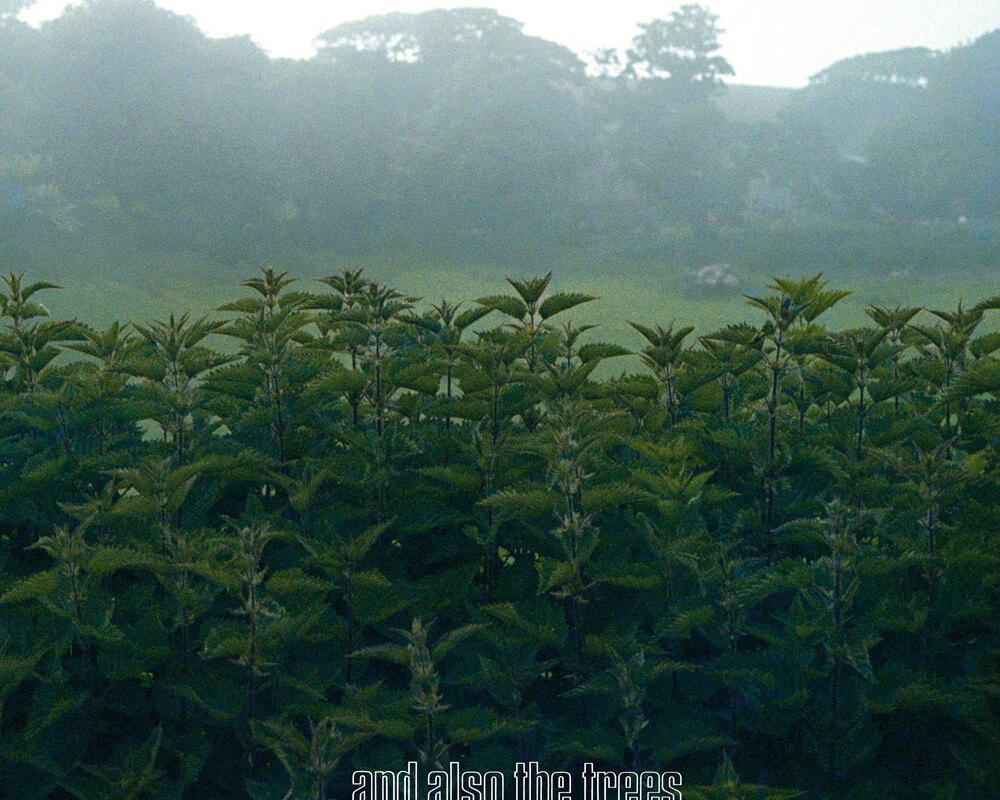 And Also The Trees viert 40e verjaardag met re-issue van debuutalbum uit 1984
