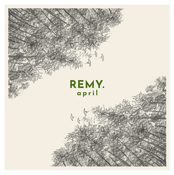 Remy van Kesteren announces soundtrack for Oscar nominated movie ‘The Red Turtle’