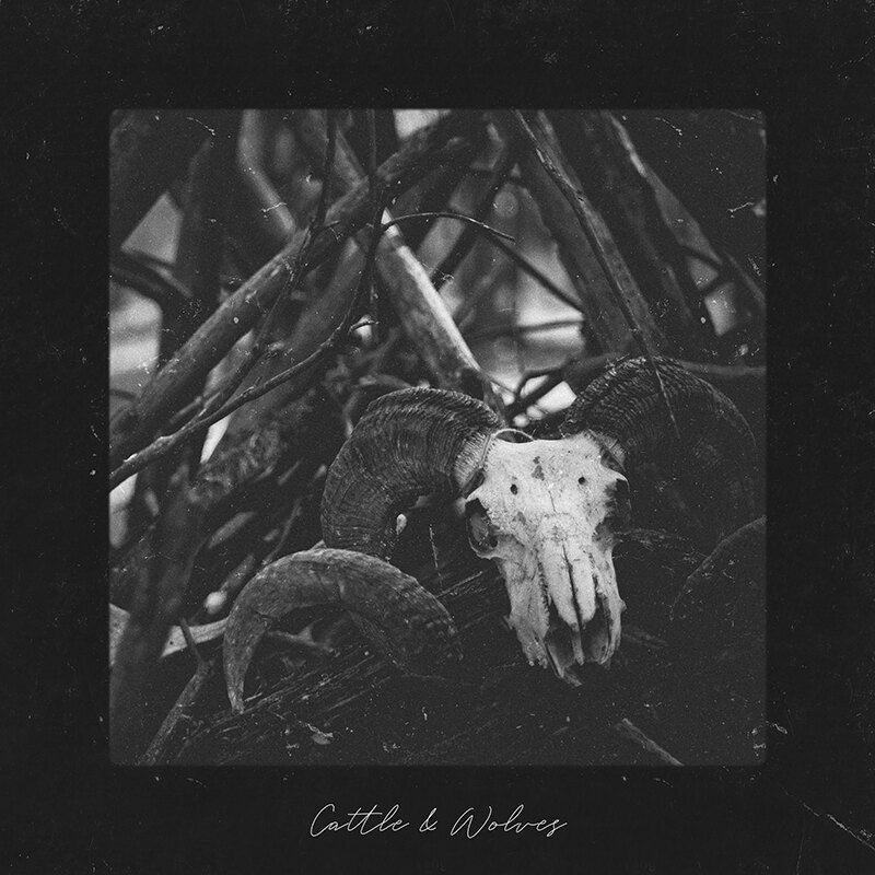 Old Kerry McKee release a music video for 'Cattle & Wolves' adding a sense of dread and unease as it seems to rewind to a time before anything existed