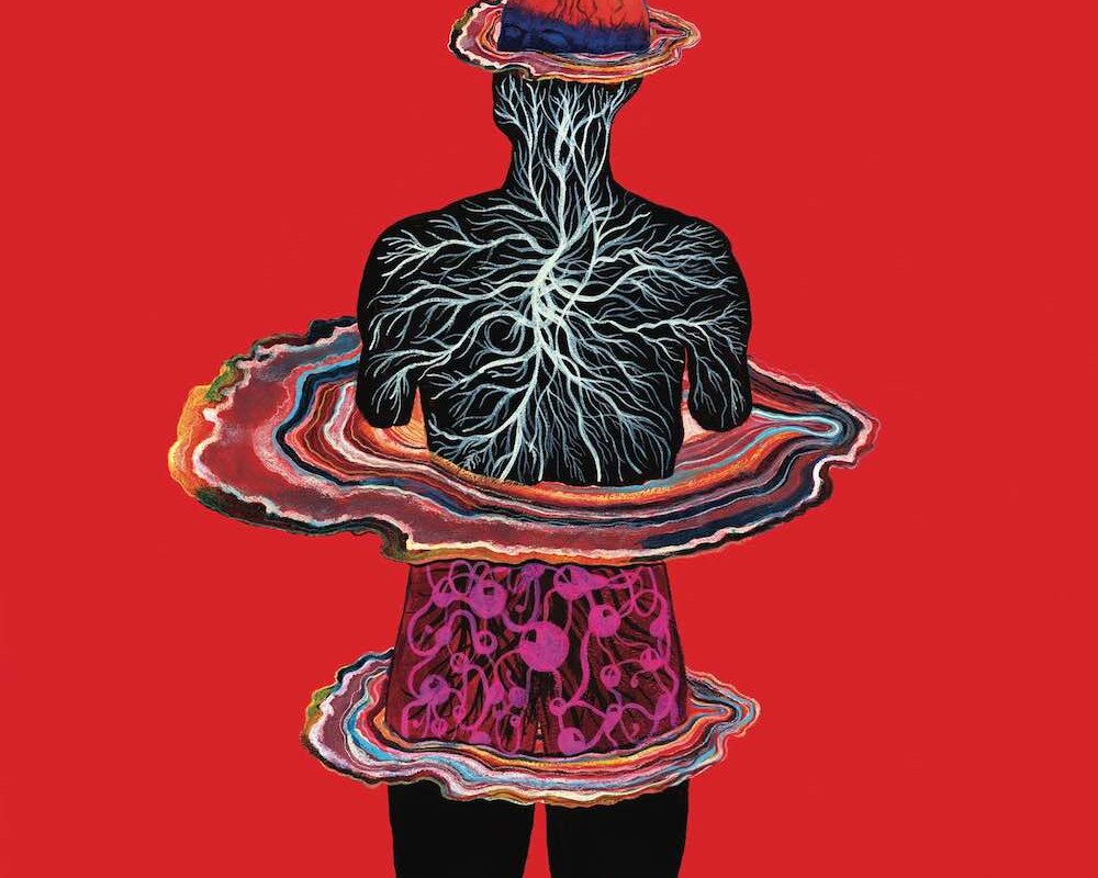 Intervals return with new single “5-HTP” & announce new album