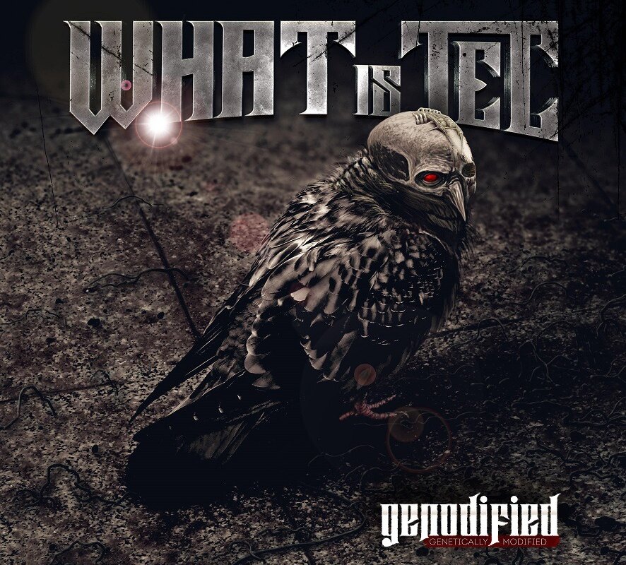 What is Tec sign with Wormholedeath and announce album Genodified