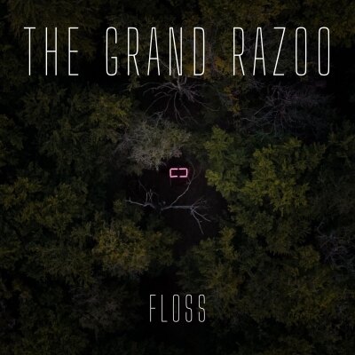 Recensie EP Floss van The Grand RazoO project van Wannes Beernaert