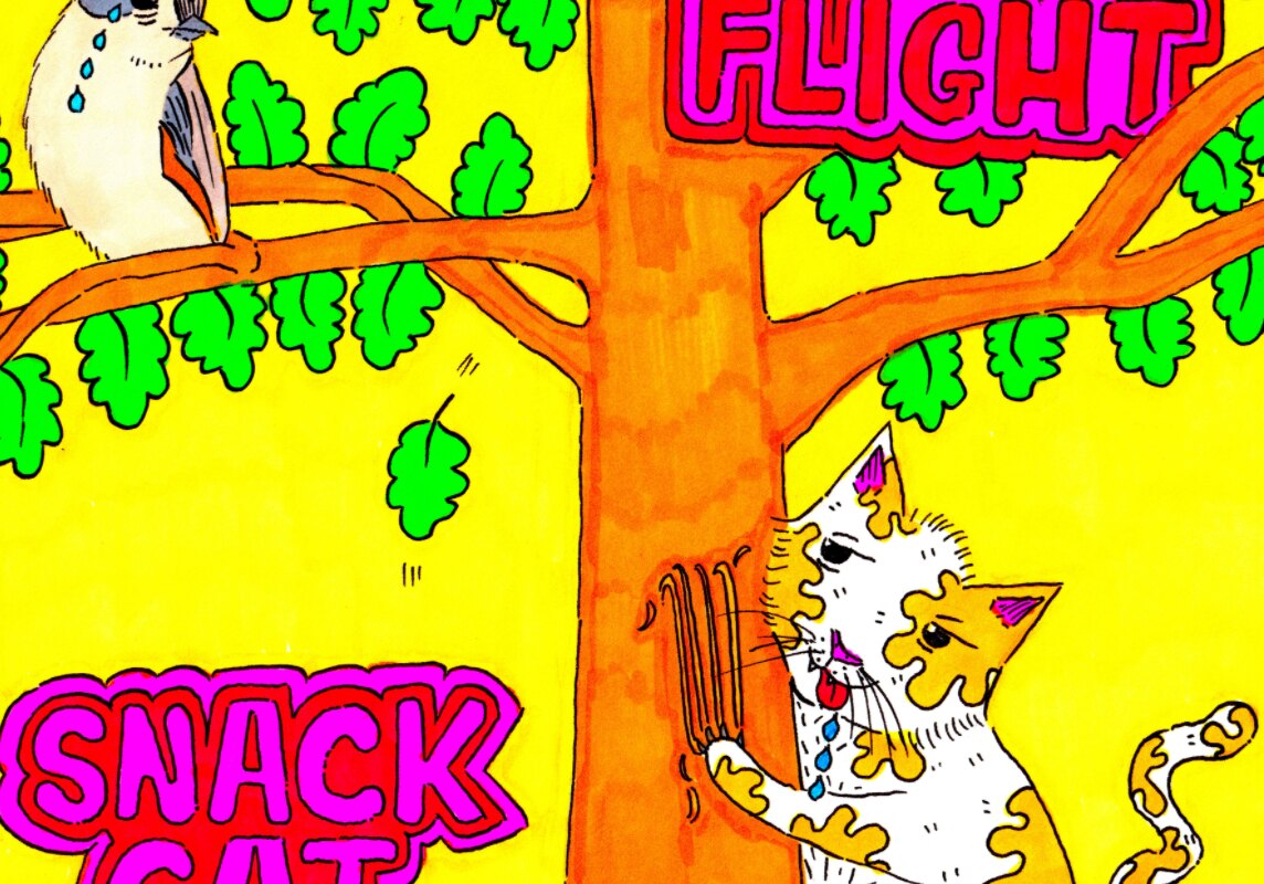 Snack Cat Puts Covid19 Experience Into Song For New Single: Fight or Flight