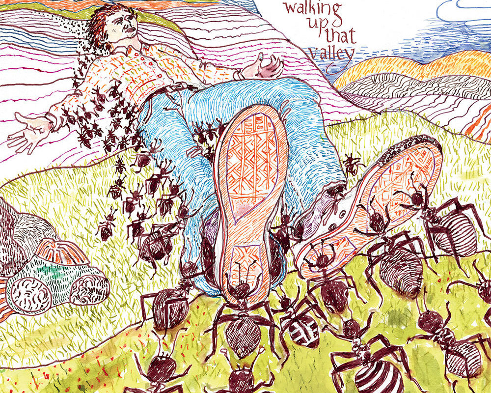 Norwegian Jazzy Prog-Rock Quartet Needlepoint Announces New Album "Walking Up That Valley"!