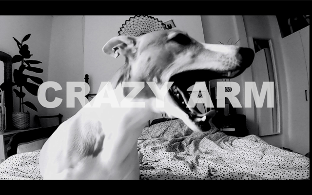 Crazy Arm release the hounds in 'Brave Starts Here' Video