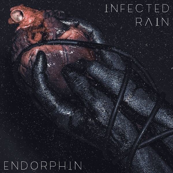 Infected Rain Enters the Studio + Issues Update on Upcoming Music
