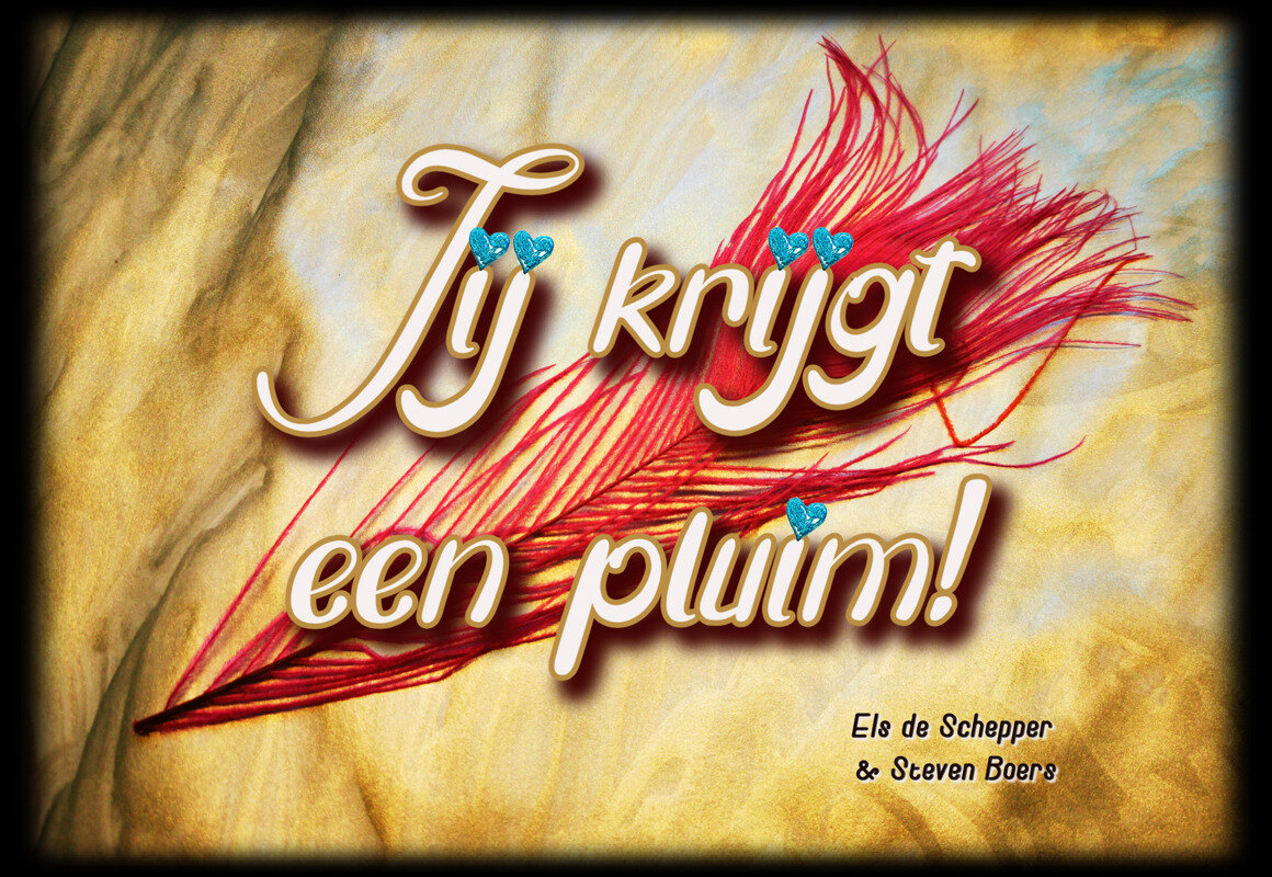 Els de Schepper start crowdfunding om uit de miserie te raken