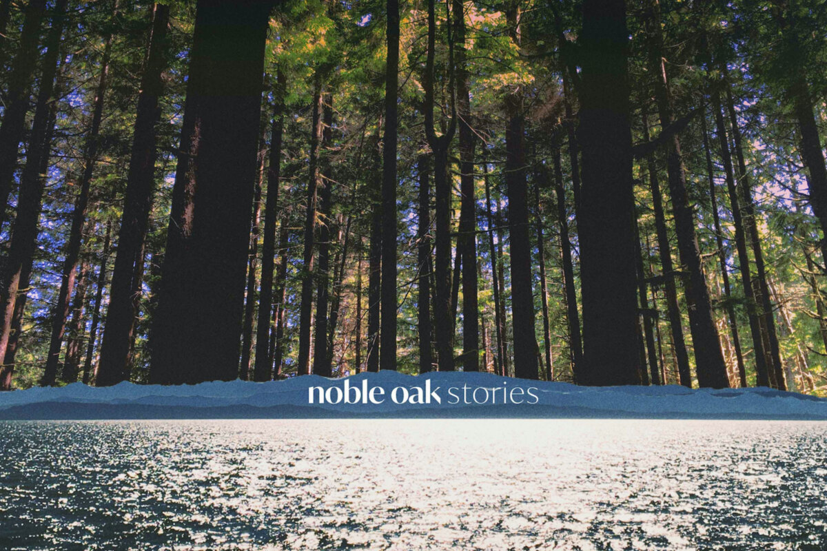 Noble Oak Shares "Little Things Left Behind" 