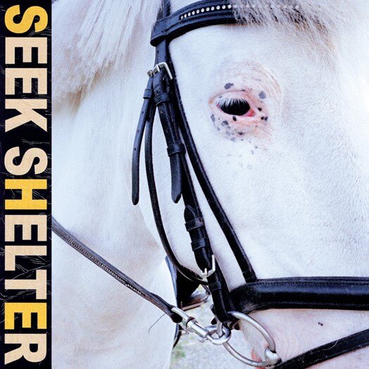 Iceage announce new album Seek Shelter, Out May 7th