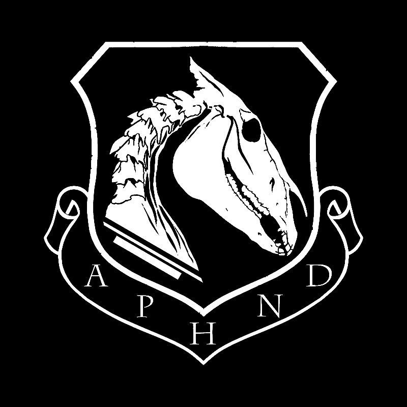 A Pale Horse Named Death enter studio; announce band members