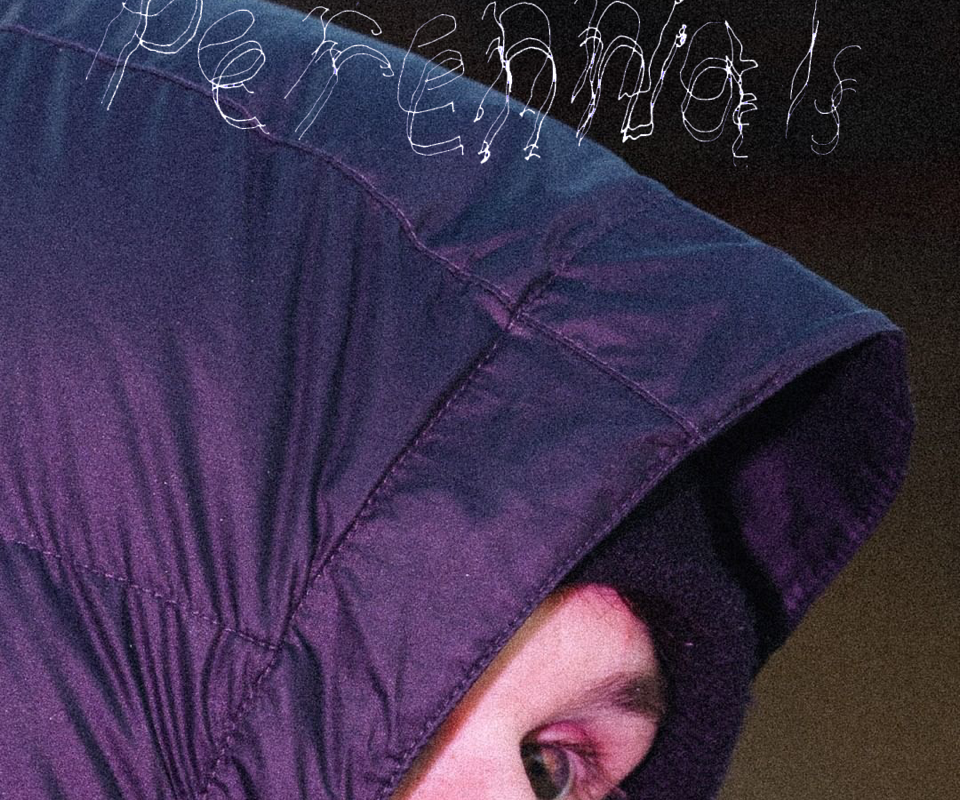 Sam Tudor Shares "Perennials"