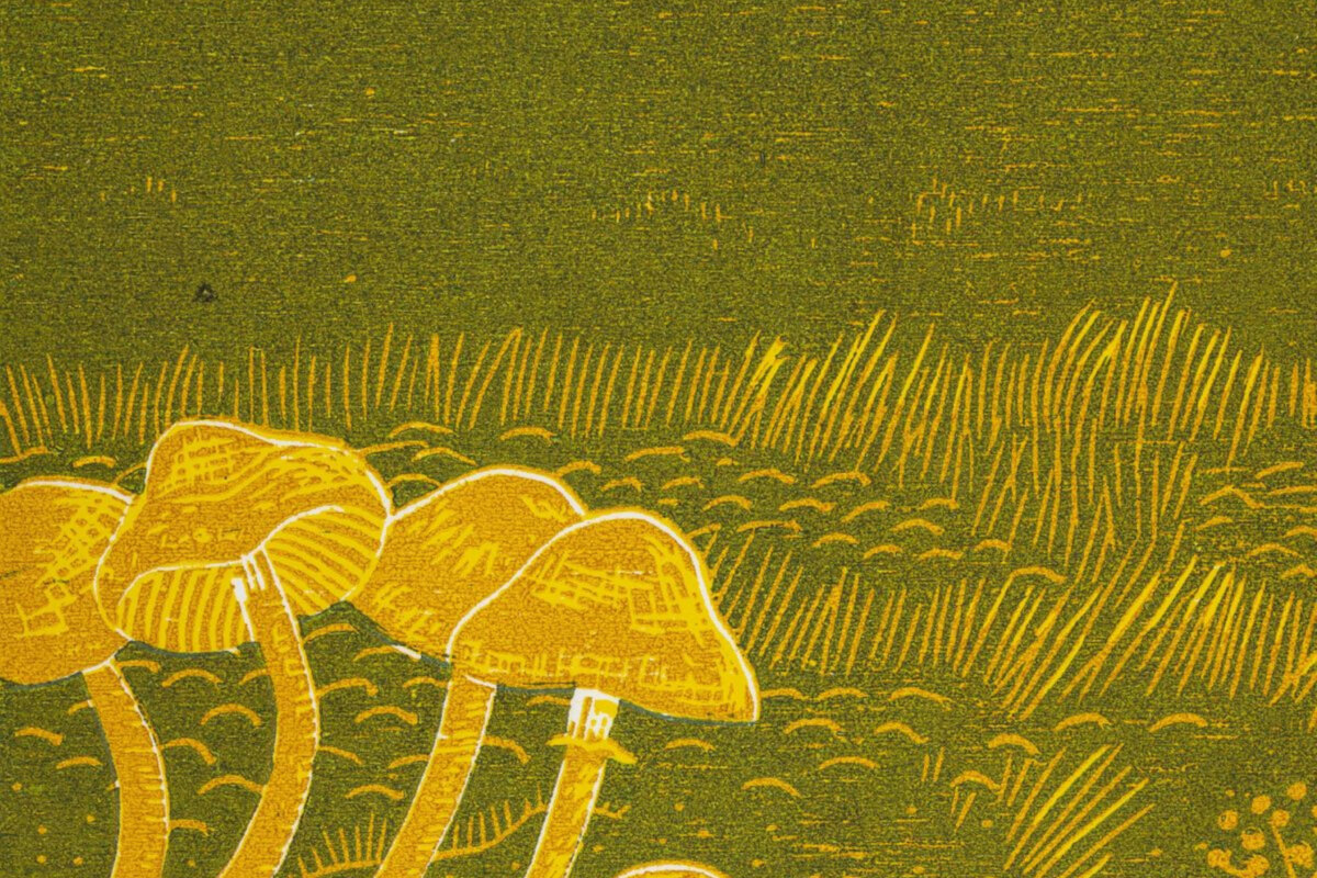 Rural Tapes announces self-titled debut album