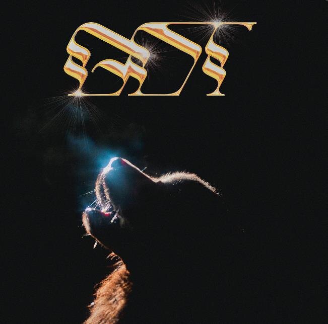 Foxing's New Label, Grand Paradise, Launches Partnership With Hopeless Records