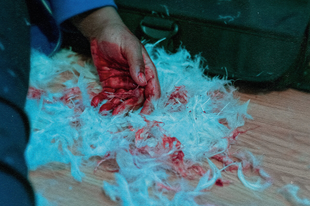 Kaonashi Announce Debut Album On Rude Records/Equal Vision Records/Unbeaten Records "Dear Lemon House, You Ruined Me: Senior Year" Out May 21st