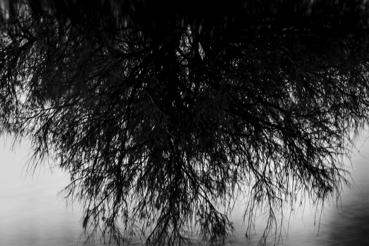 Sarram: subliminal "Midnight" video; new album coming in May!