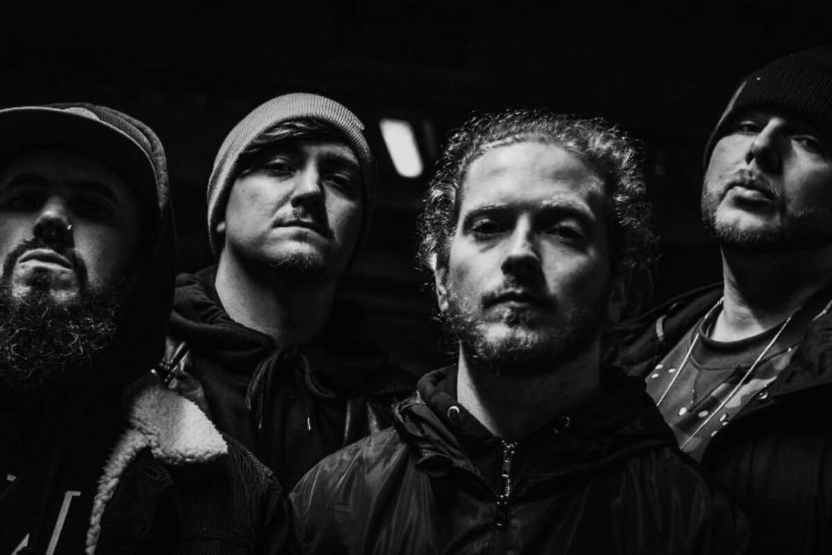 Terra IV (ex Hacktivist) launches; bloodstock announced