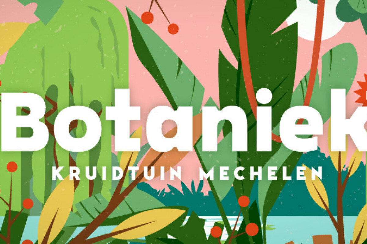 Botaniek Live kruidt De Zomer is van Mechelen