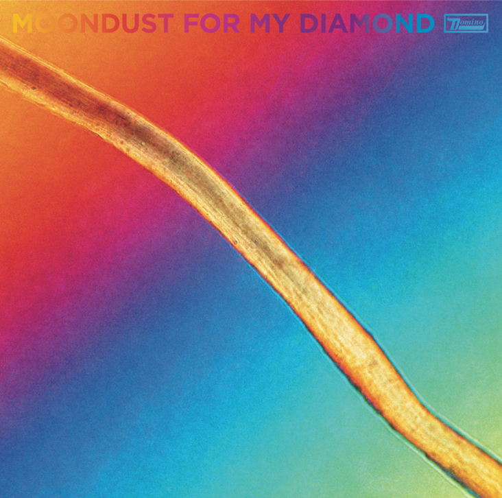 Hayden Thorpe announces "Moondust For My Diamond"