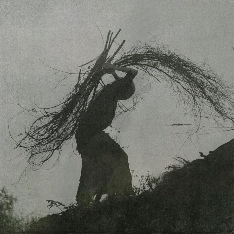 Warning announce Watching from a Distance - Live at Roadburn album