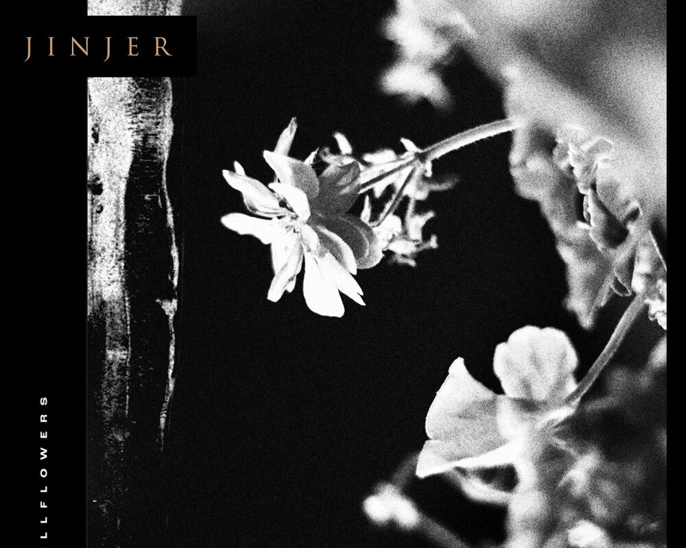 Jinjer Reaches Aggressive New Levels with Second Single + Music Video “Mediator”!