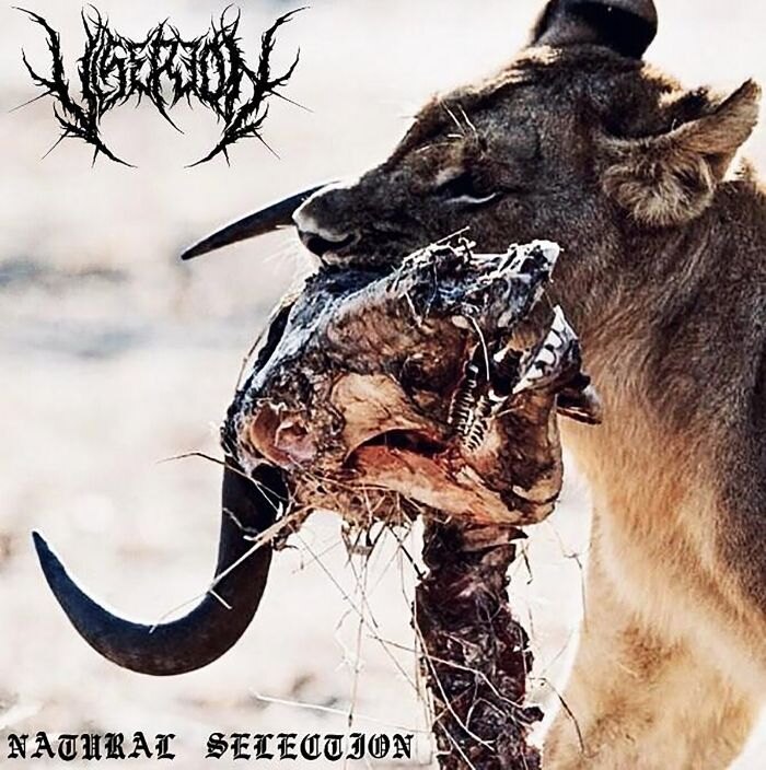 Viserion release new single "Vaporized"