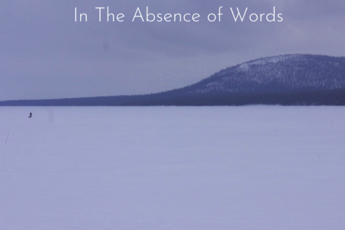 In The Absence Of Words present their second volume of immersive ambient sound - A Collection II