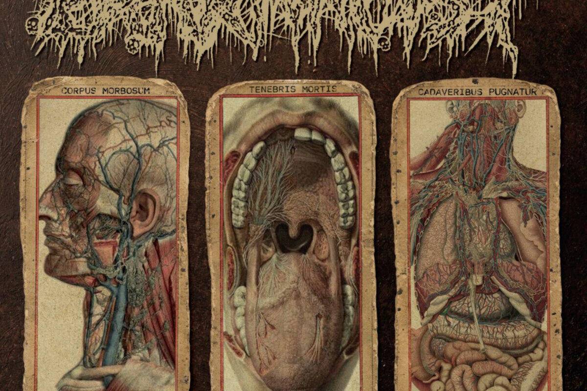Pharmacist: Japanese Goregrind Purists Announce Second EP "Carnal Pollution" Featuring RIPPED TO SHREDS' Andrew Lee