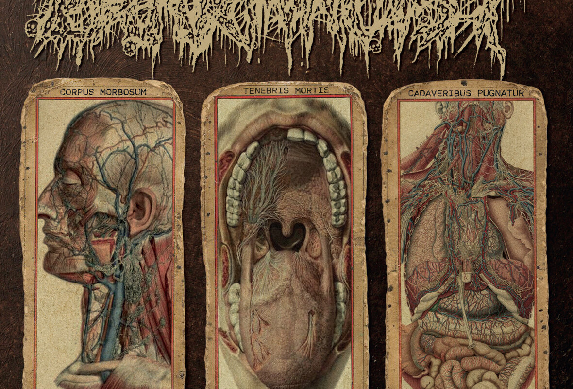 Pharmacist: Japanese Death/Grind Duo Premieres "Carnal Pollution" EP via Metal Injection