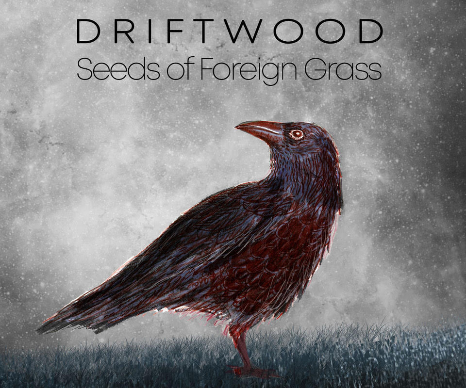 Driftwood stelt nieuwe single Seeds Of Foreign Grass voor