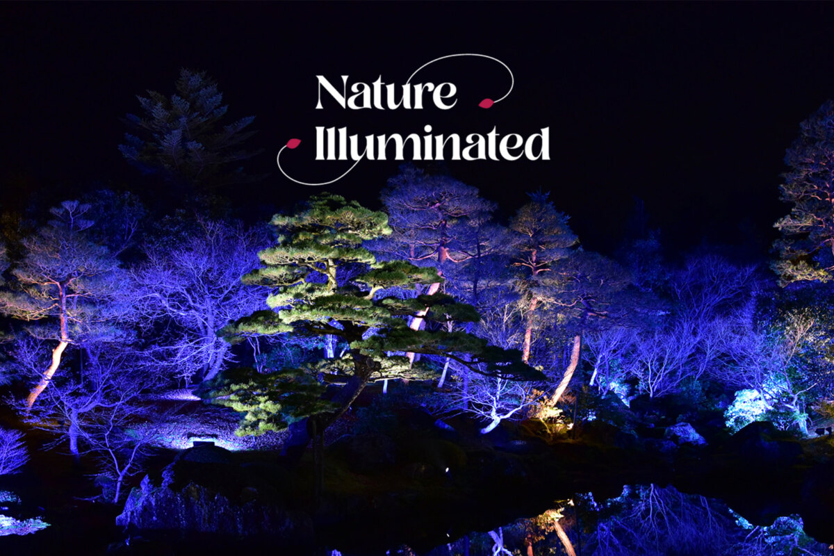 Nature Illuminated: de vier seizoenen in harmonie