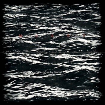 Darkjazz Quartet Taumel Announces New Album "Now We Stay Forever Lost In Space Together". First Track Online!