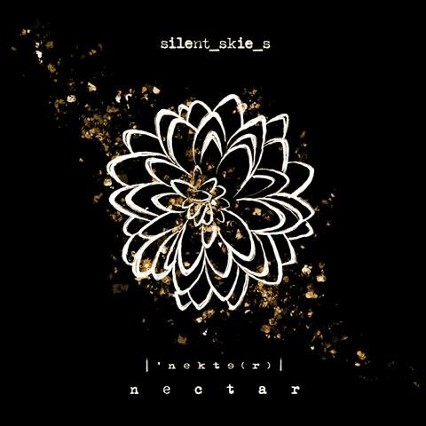 Cinematic Ambient Duo Silent Skies Releases Official Video for Second Single “Leaving”